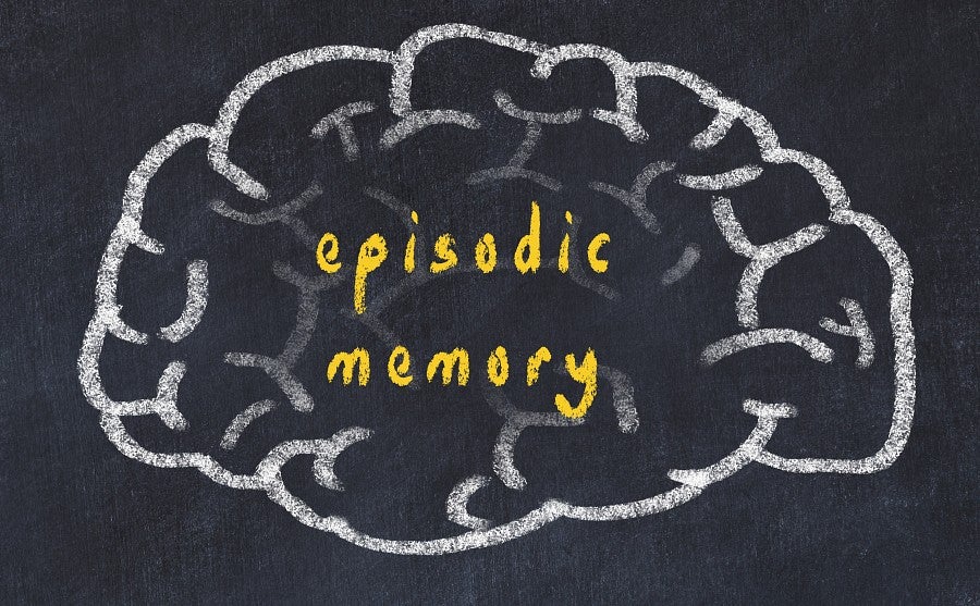 Workshop explores role of episodic memory in psychological disorders ...