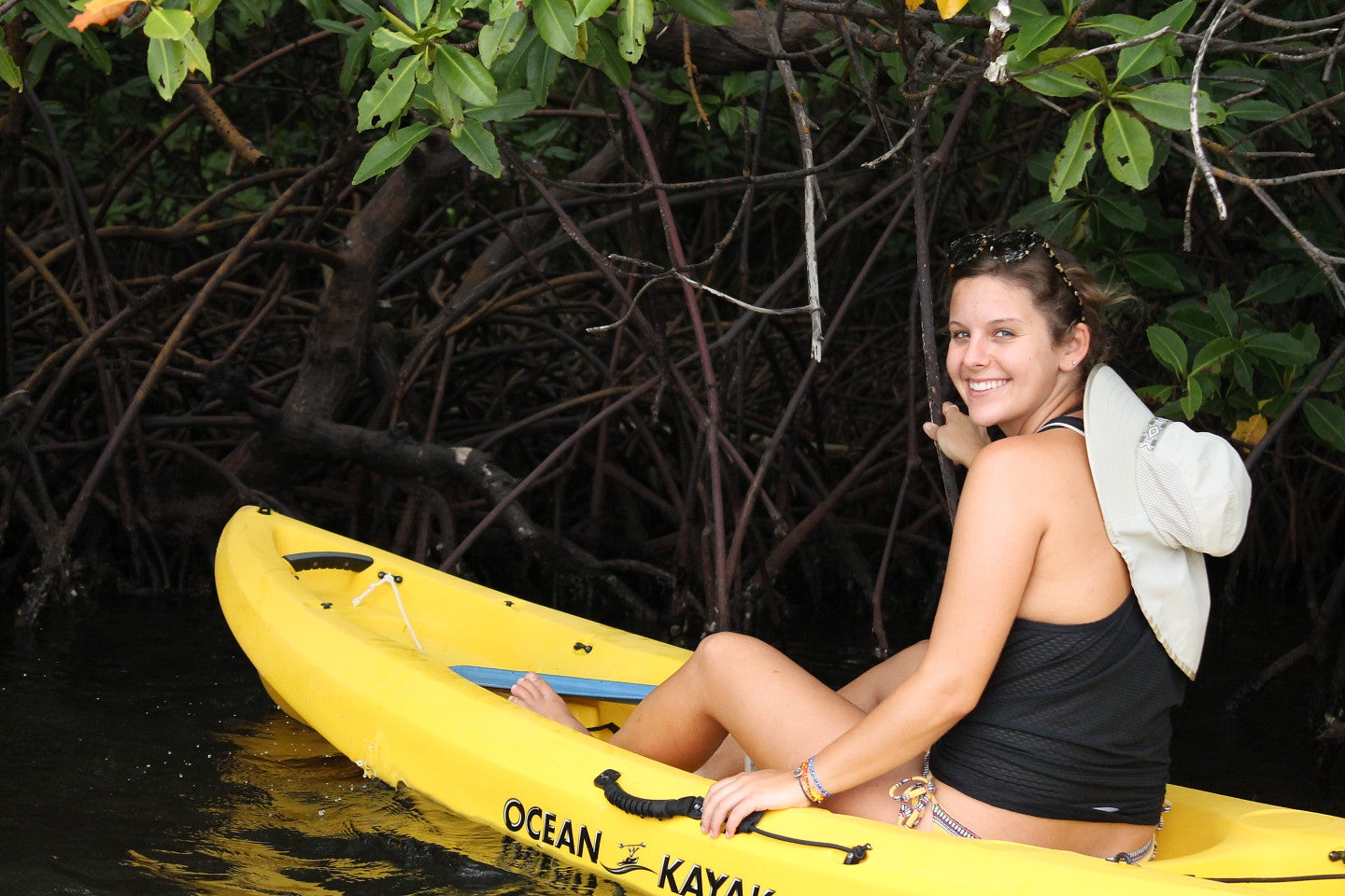 Marine Biology in Panama