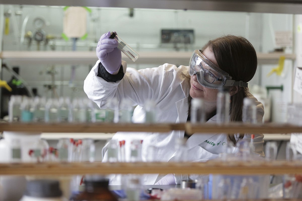 A scientist looks at a test tube