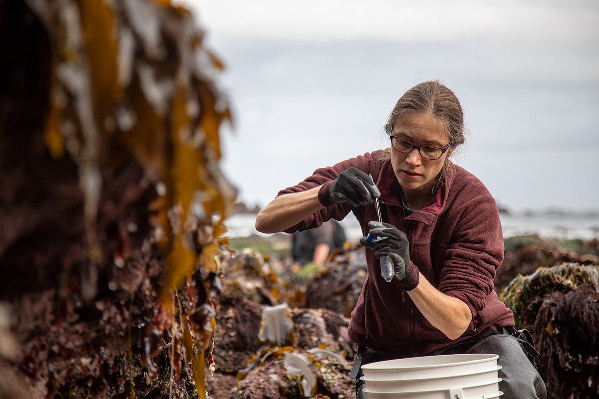 woman in tidepool putting sample in test tube