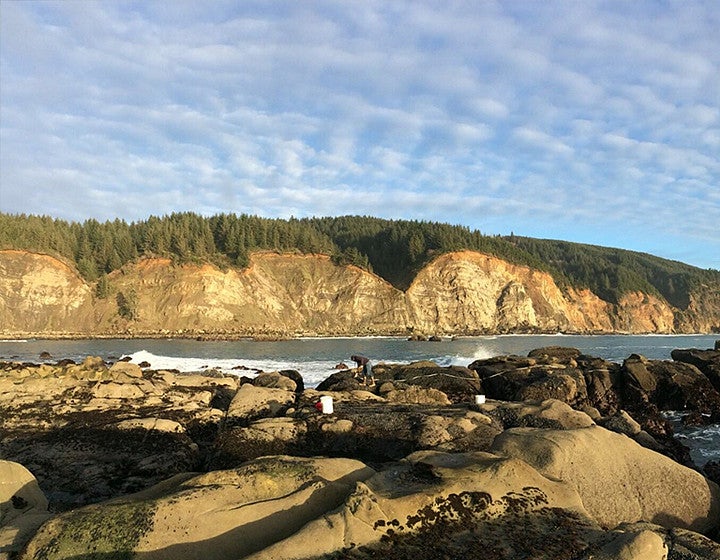 Cliffs and ocean with rocks in the foreground