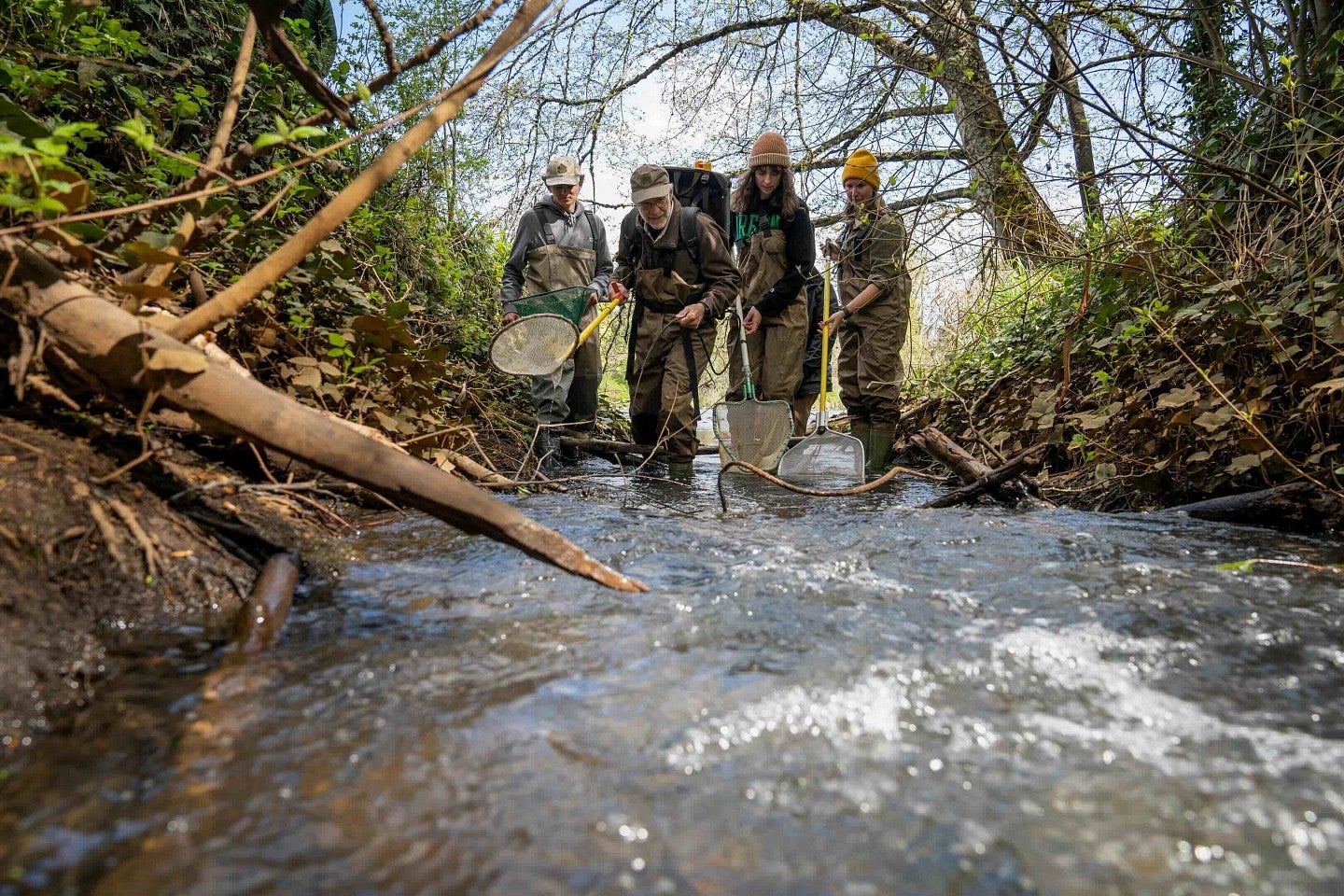 students in a river using nets