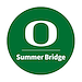 Cataylst Summer Bridge logo