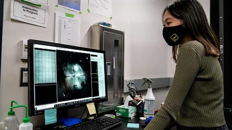 researcher at computer in Institute of Neuroscience