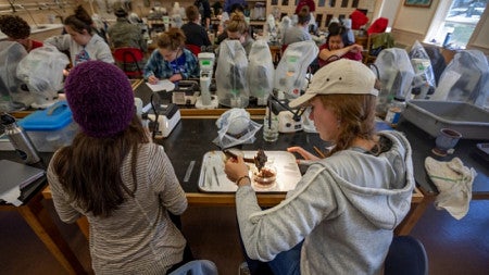 Students work on an experiment in class 