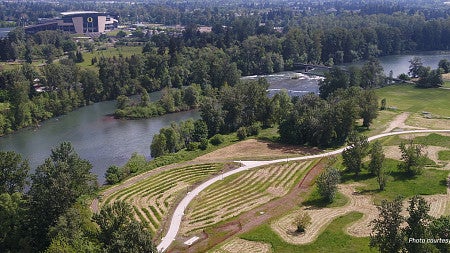 Ariel view of a river