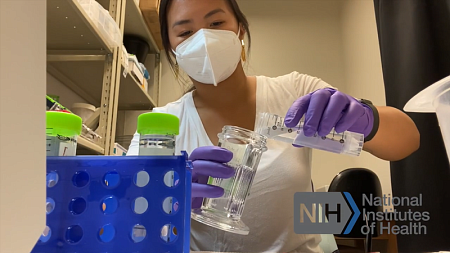 Student pours liquid into beaker