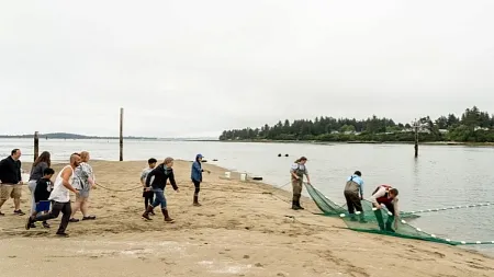 students casting a net on the beach