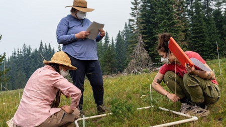 Faculty and student reasearchers measure in a field measure out a square using PVC pipe