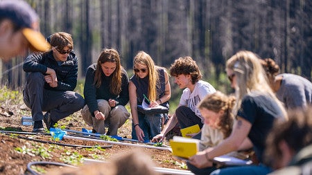 students conducting field research in majors in the College of Arts and Sciences