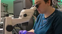 Person looking into a microscope