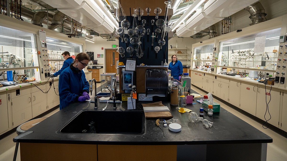 Students in a lab