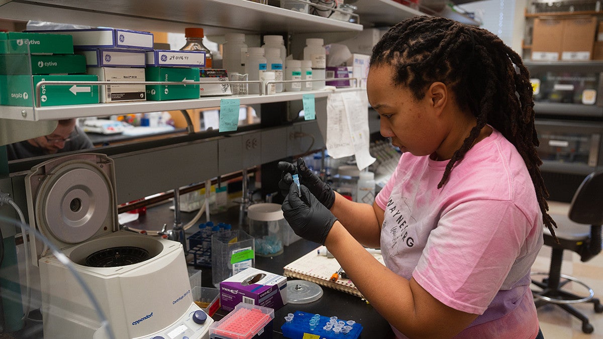 Student working in a lab