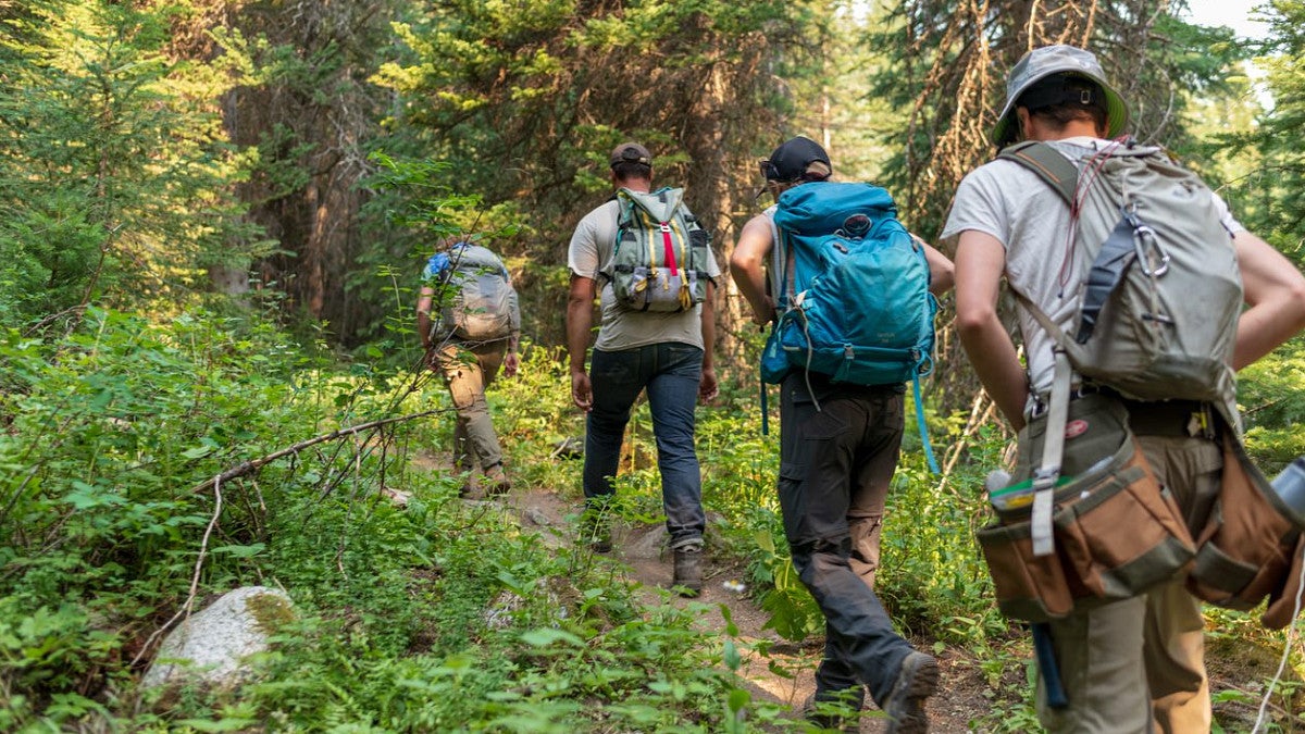 Students hiking through woods
