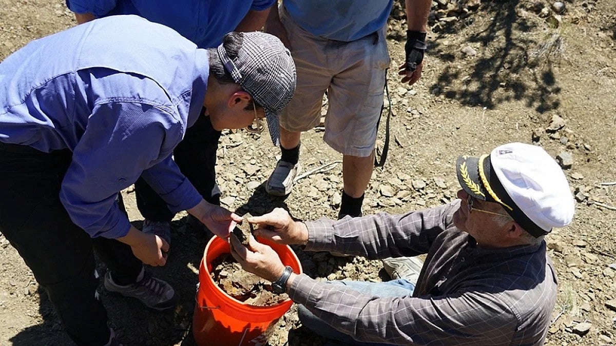 Researcher looking through fossils