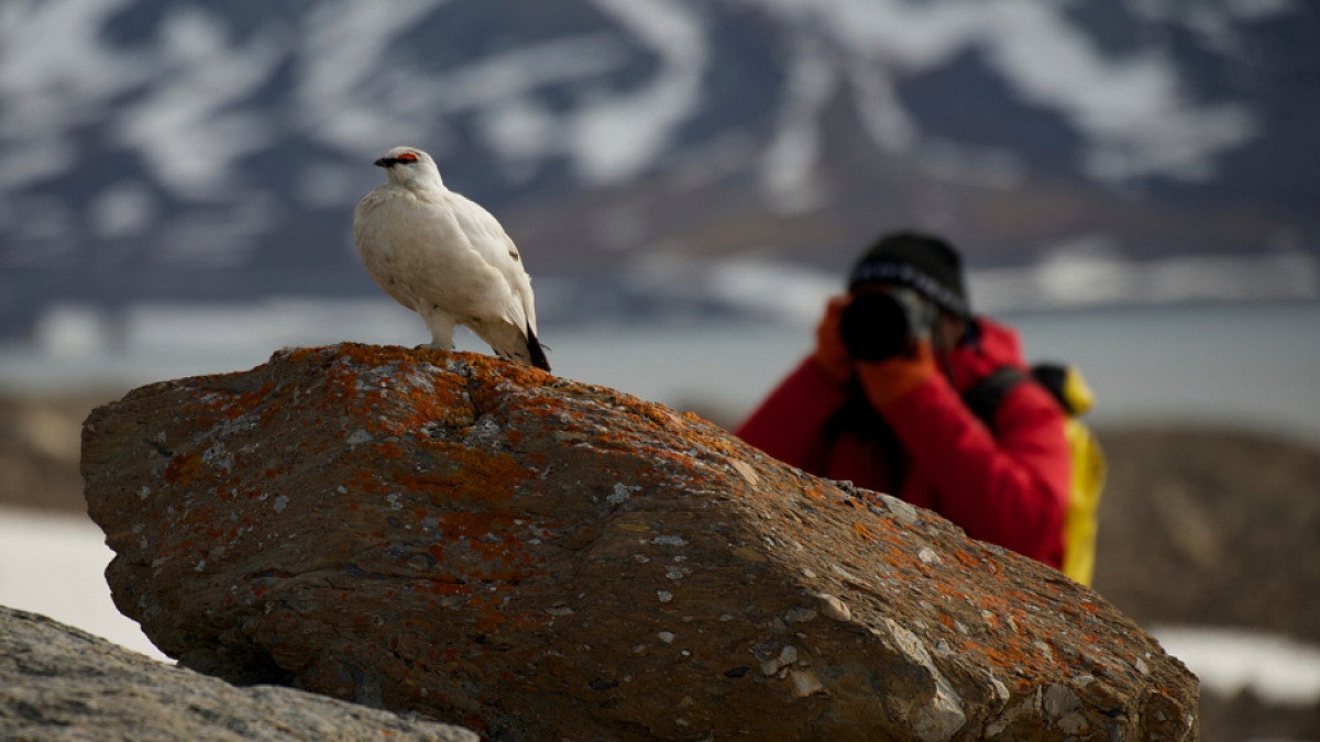 Student taking a picture of a bird