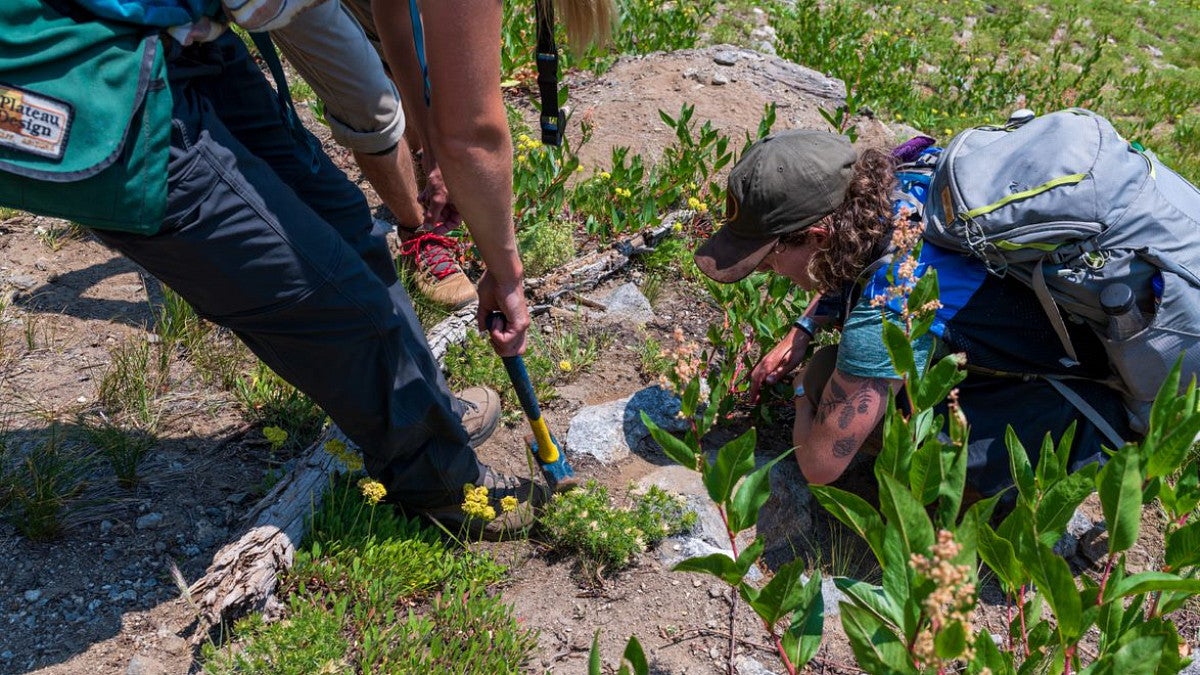 Students digging up site