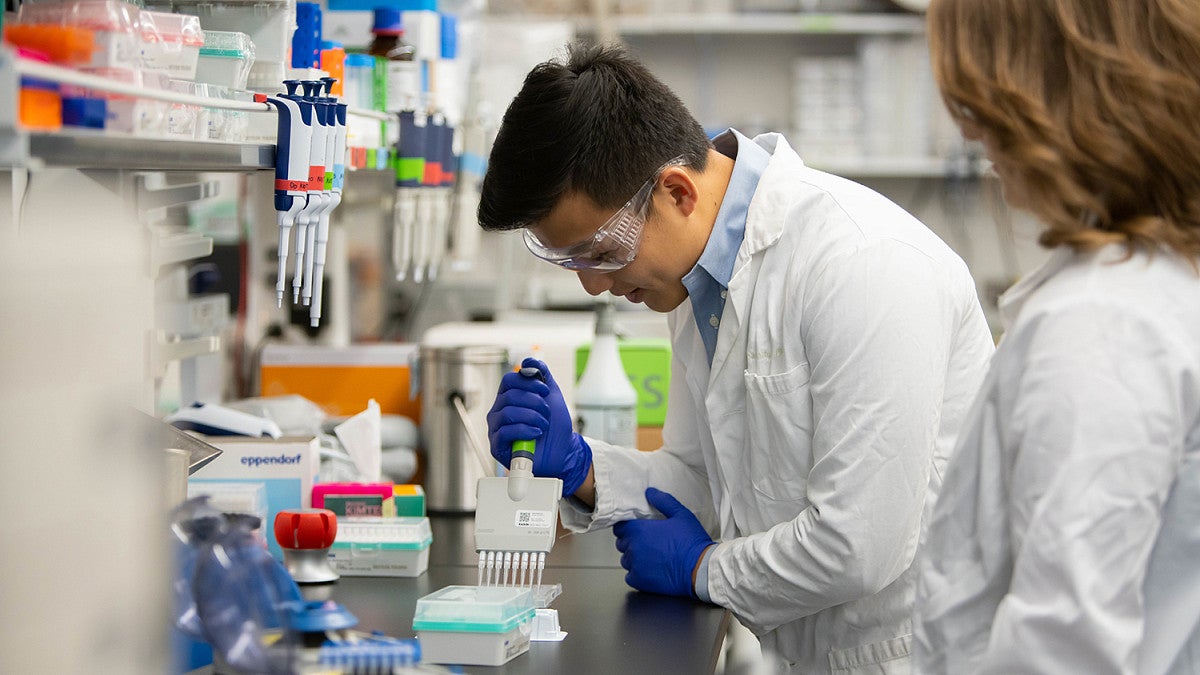 Students in a lab