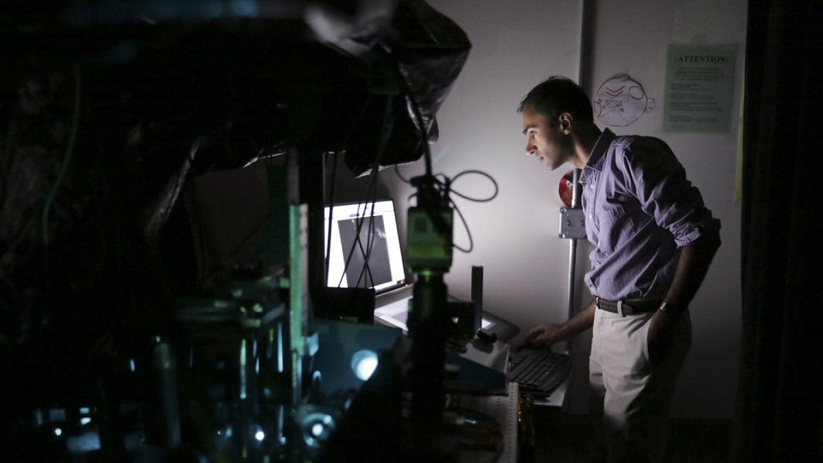 Student in a lab