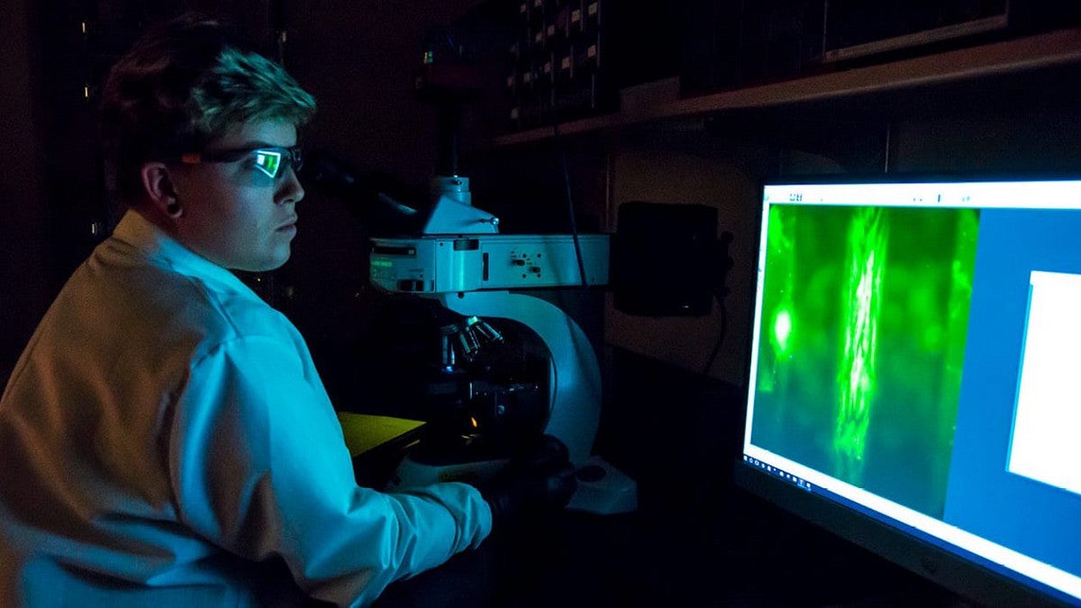 Student in a lab