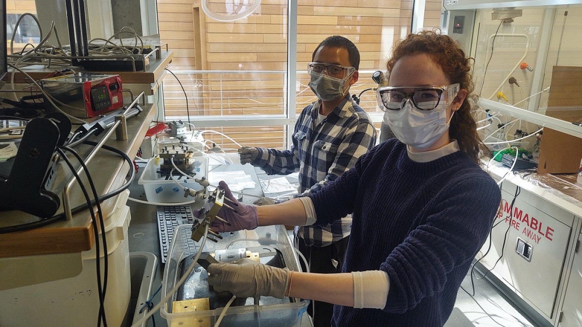 Students working in a lab