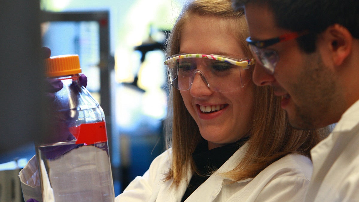 Students working in a chemistry lab