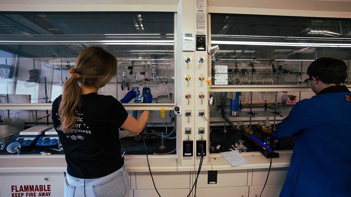 Students working in a chemistry lab