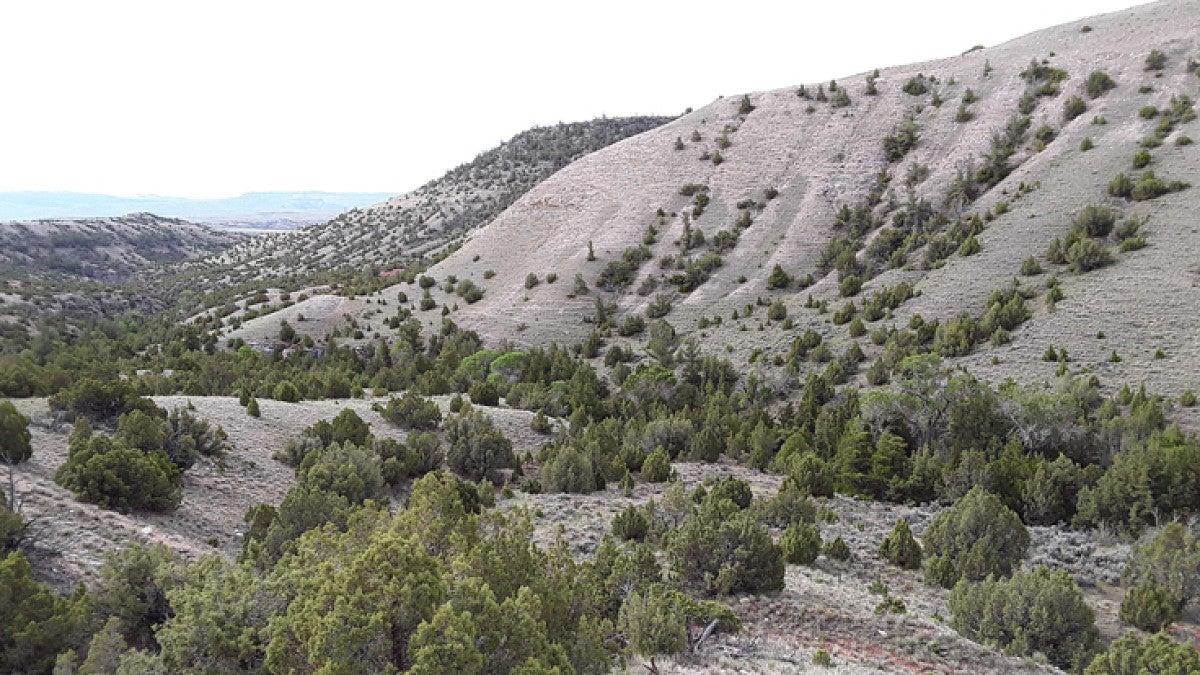 National Park