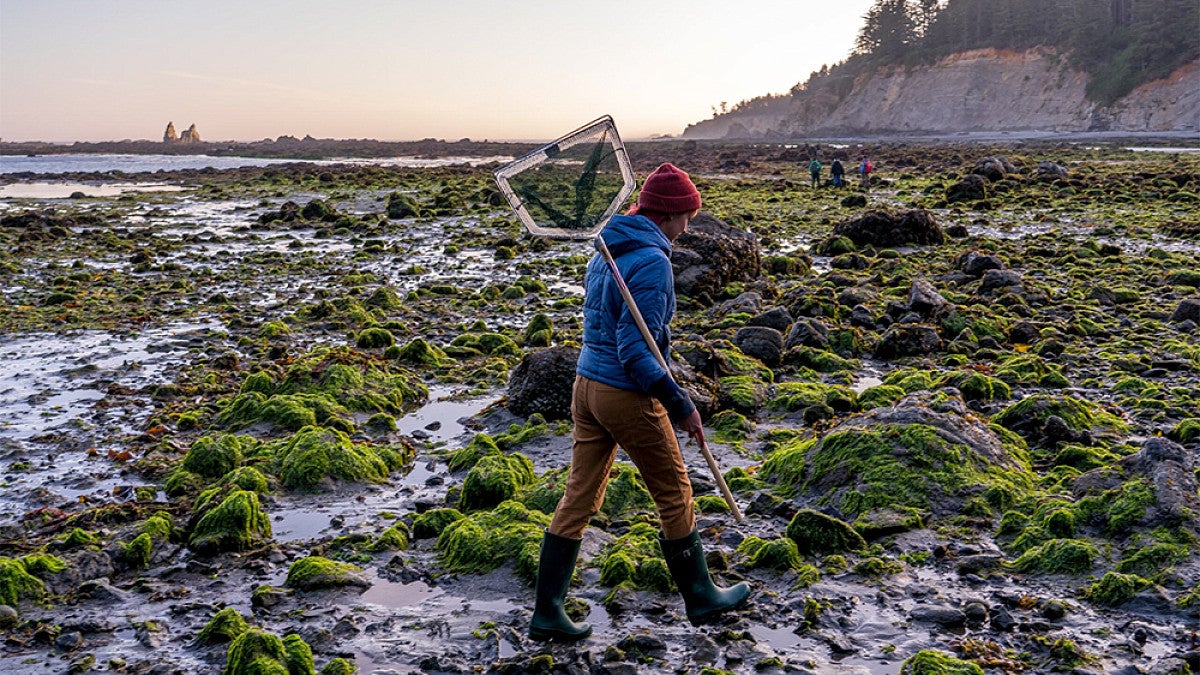 Student walking on coast carrying a net