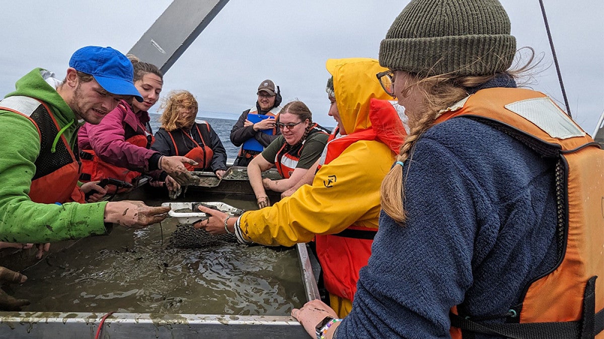 Students gathered on top deck to look at samples