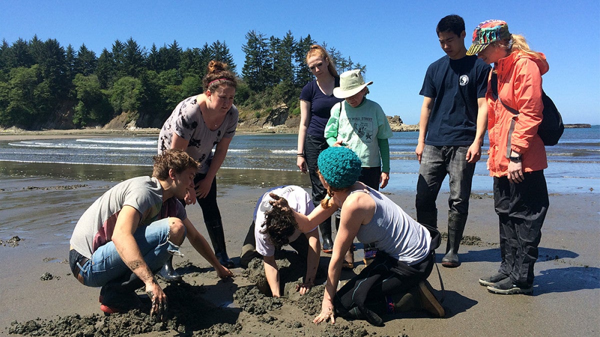 Students on coastal beach collecting samples