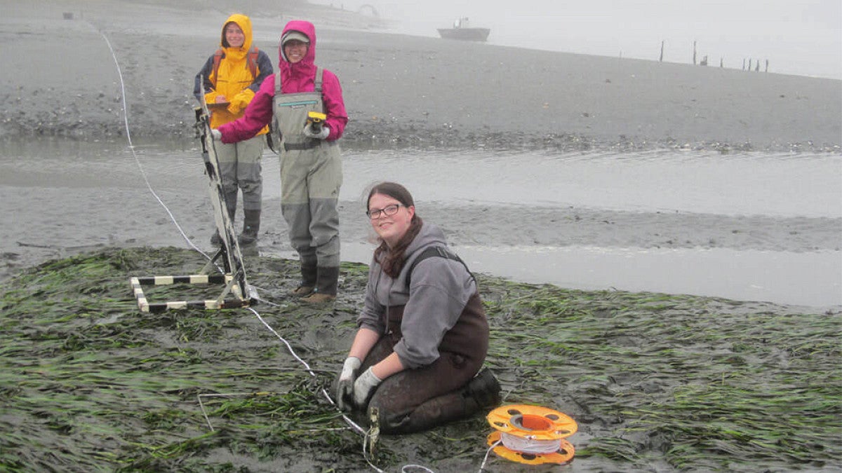 Students conducting research on beach with measuring tape