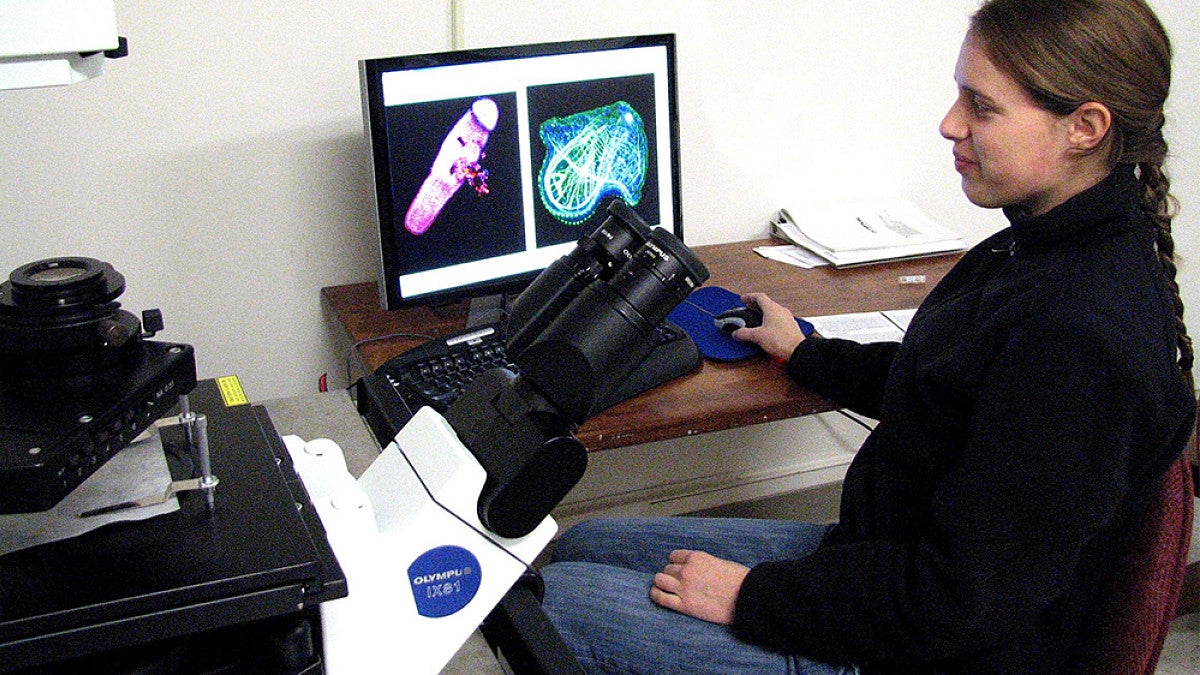 Student using microscope to view marine samples on screen