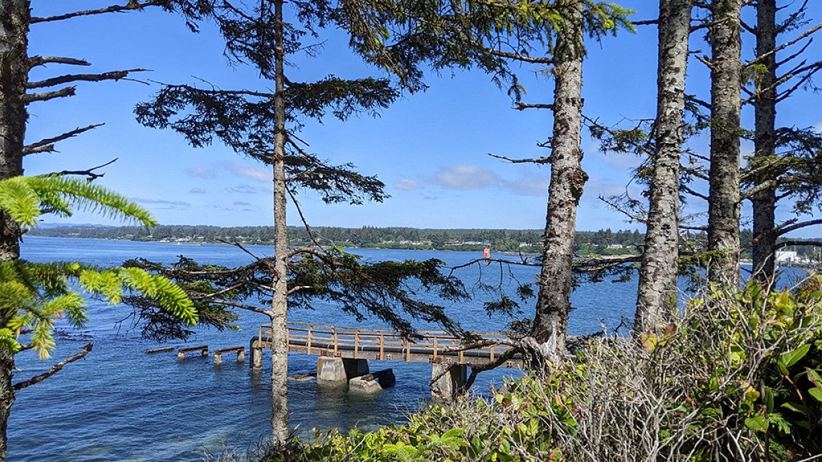 A shot of the Oregon coast looking through the trees