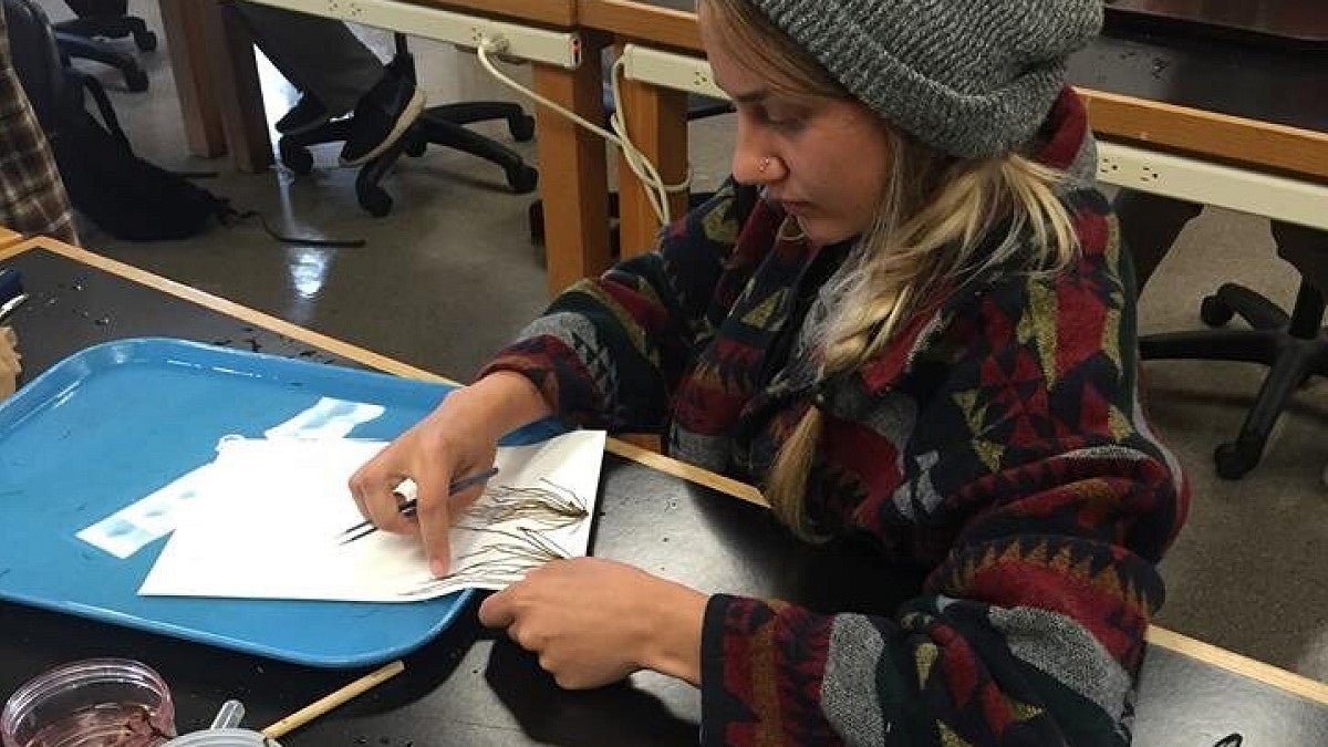 Student working with marine biology samples