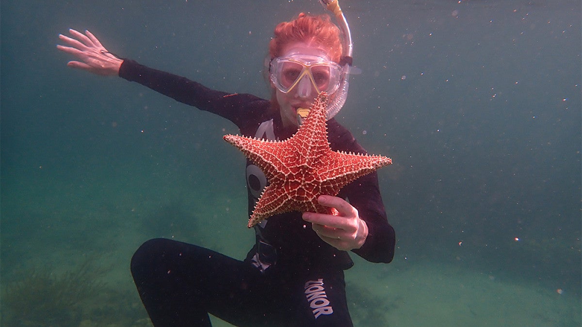 Marine Biology student snorkeling and holding a starfish 