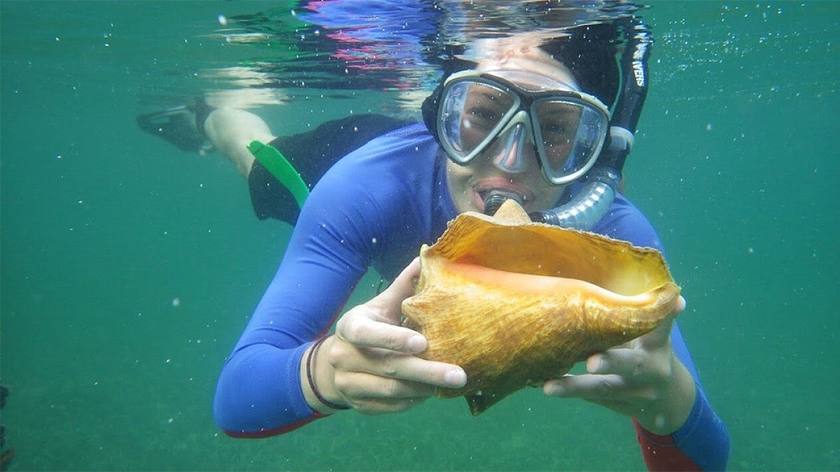 Student snorkeling in an ocean holding a shell