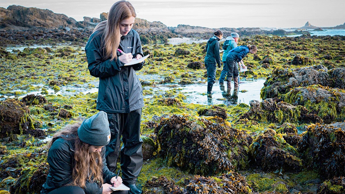 Students conducting research on marine life on a coast