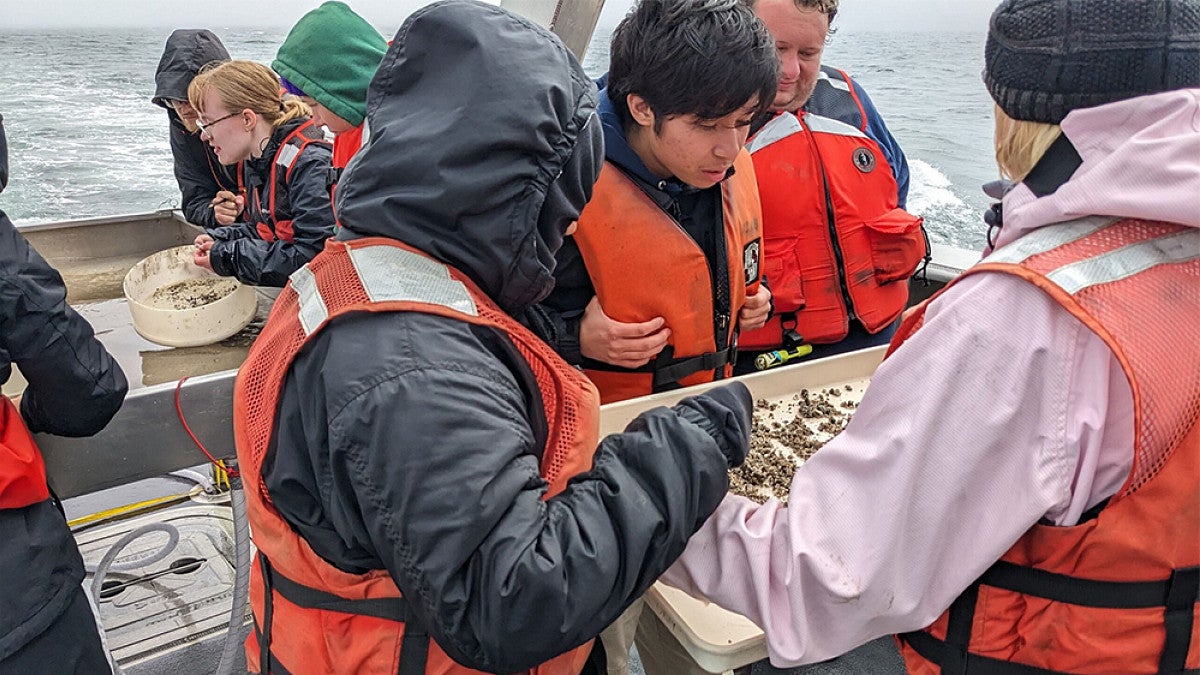 Marine biology students huddled on ship looking at samples