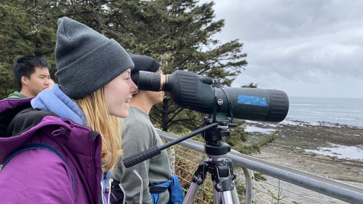 Student watch birds through telescope