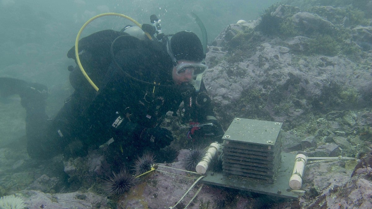  OIMB professor, Aaron Galloway, at PO ARMS in the deep sea