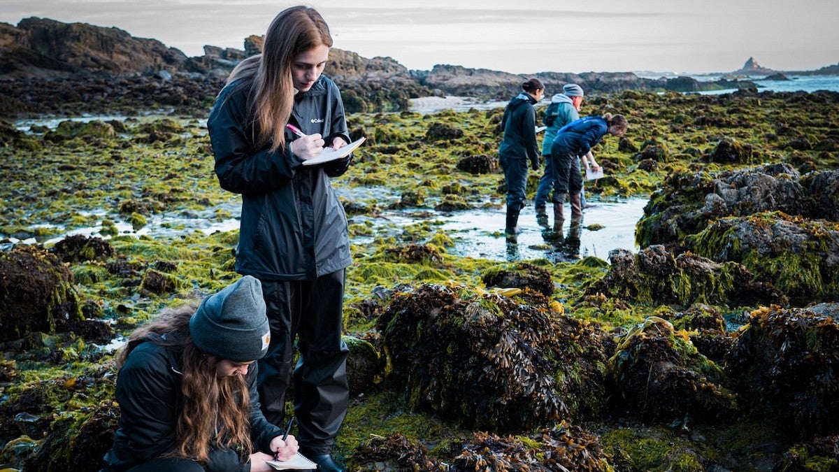 Students in kelp doing research