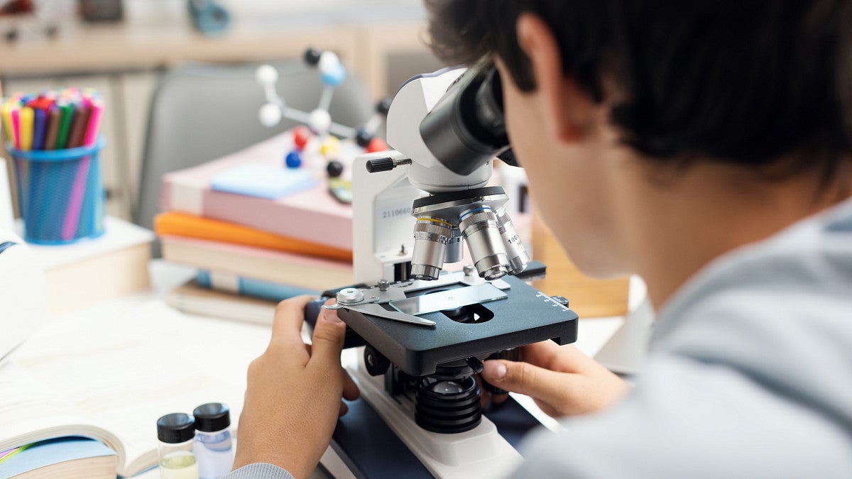 back of student head looking into a microscope