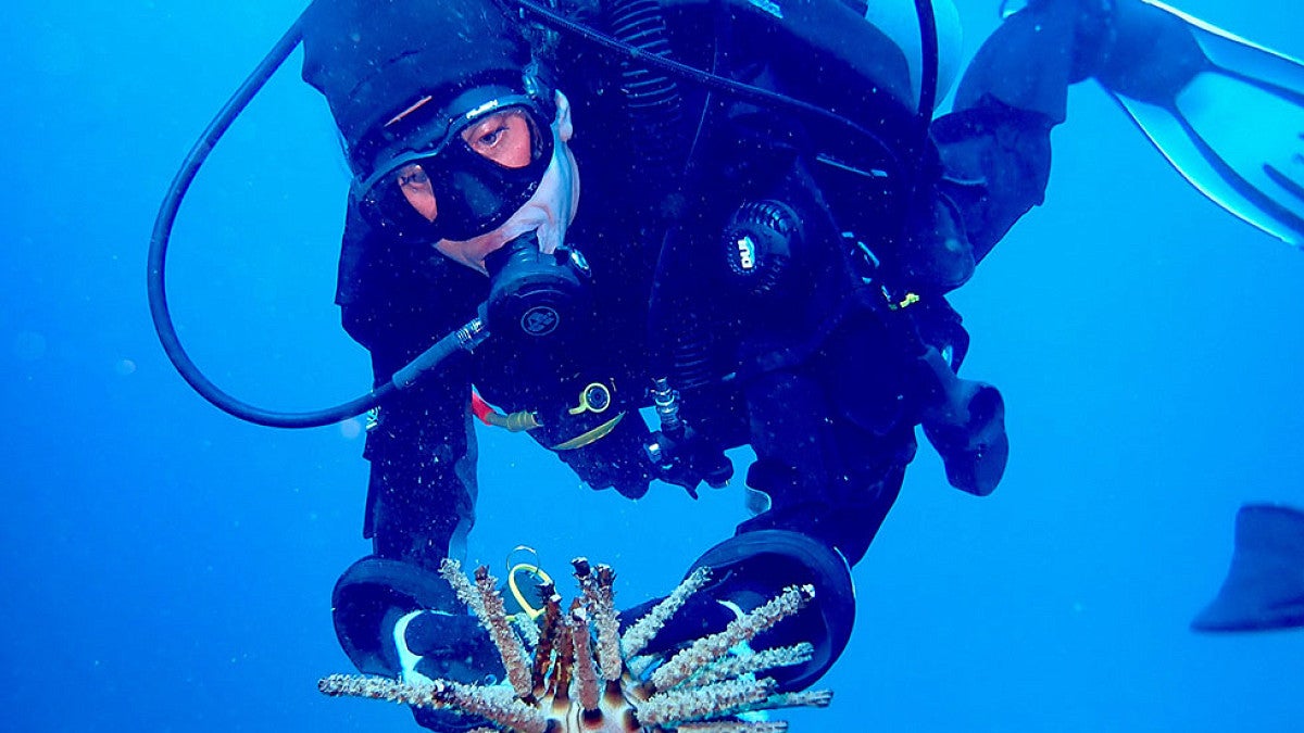 Research lab of Amy Moran, OIMB faculty.