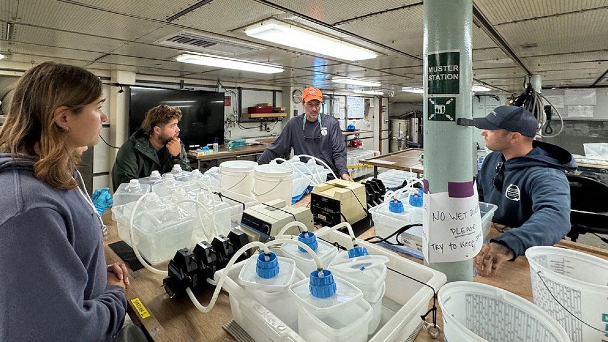 Research lab of Peter Marko, OIMB faculty.