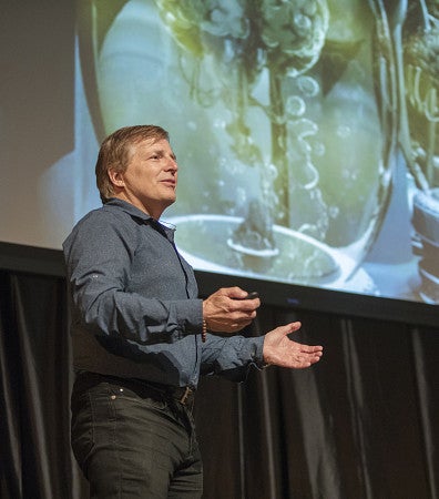 Neuroscience faculty, David McCormick