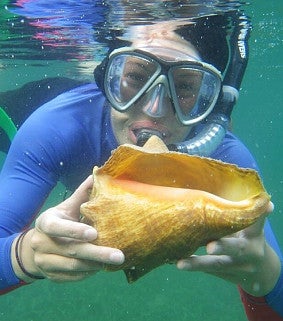 Student snorkeling in an ocean holding a shell