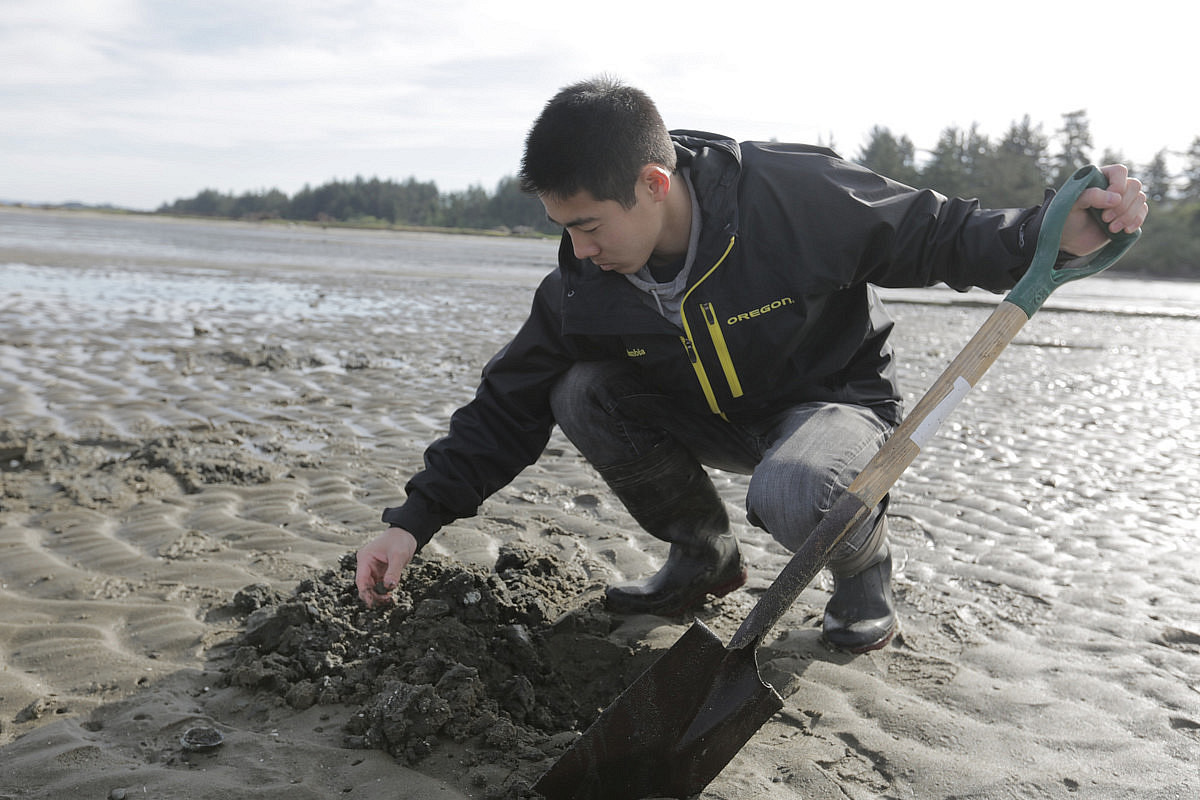 student digging in tidal zone