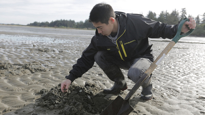 student digging in tidal zone