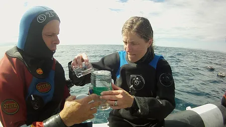 marine biologist kelly sutherland on a boat wearing a wetsuit and packing samples in jars